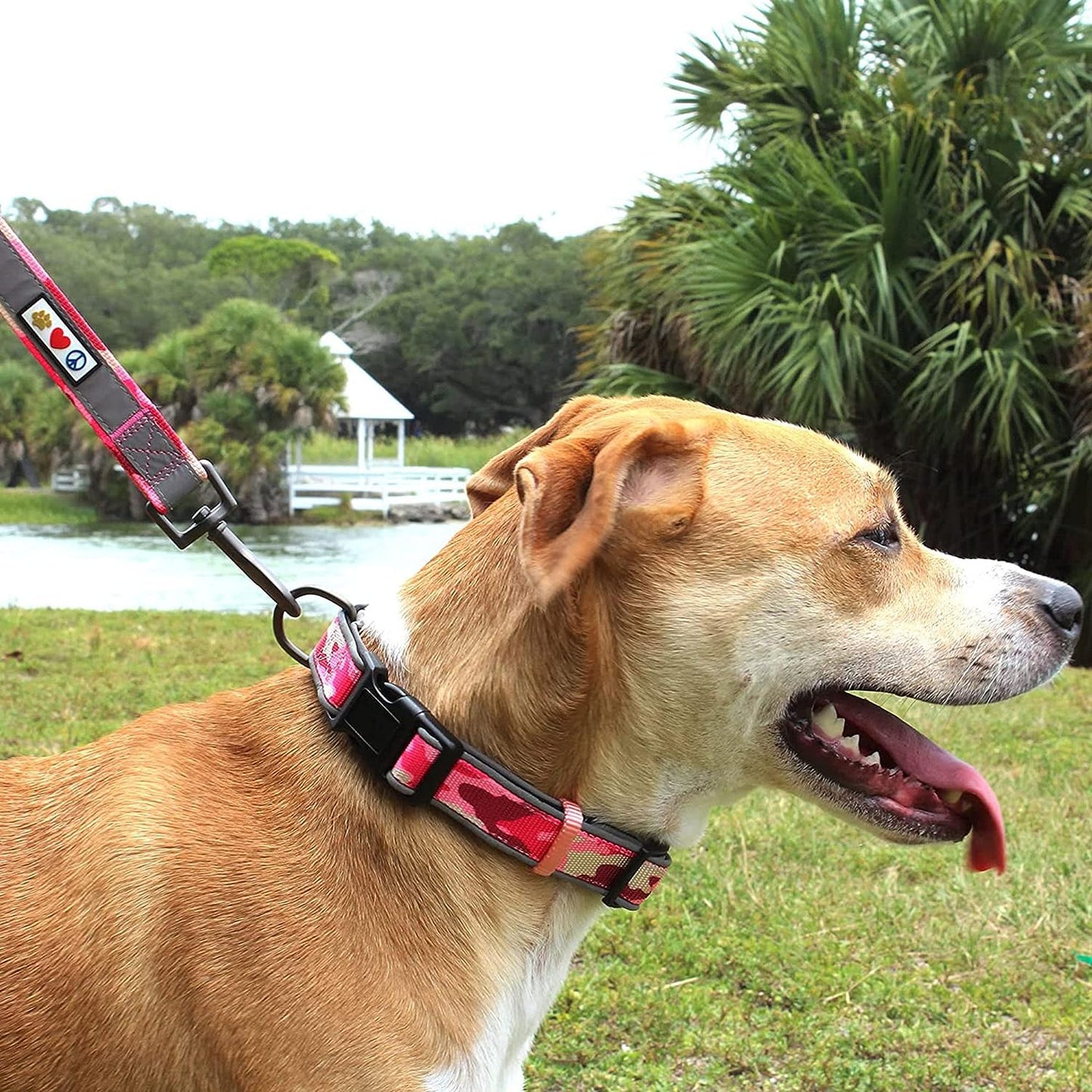 Soft Adjustable Reflective Padded Pet Dog Collar Camouflage Pink Camo Medium / Large 3/4 Inch