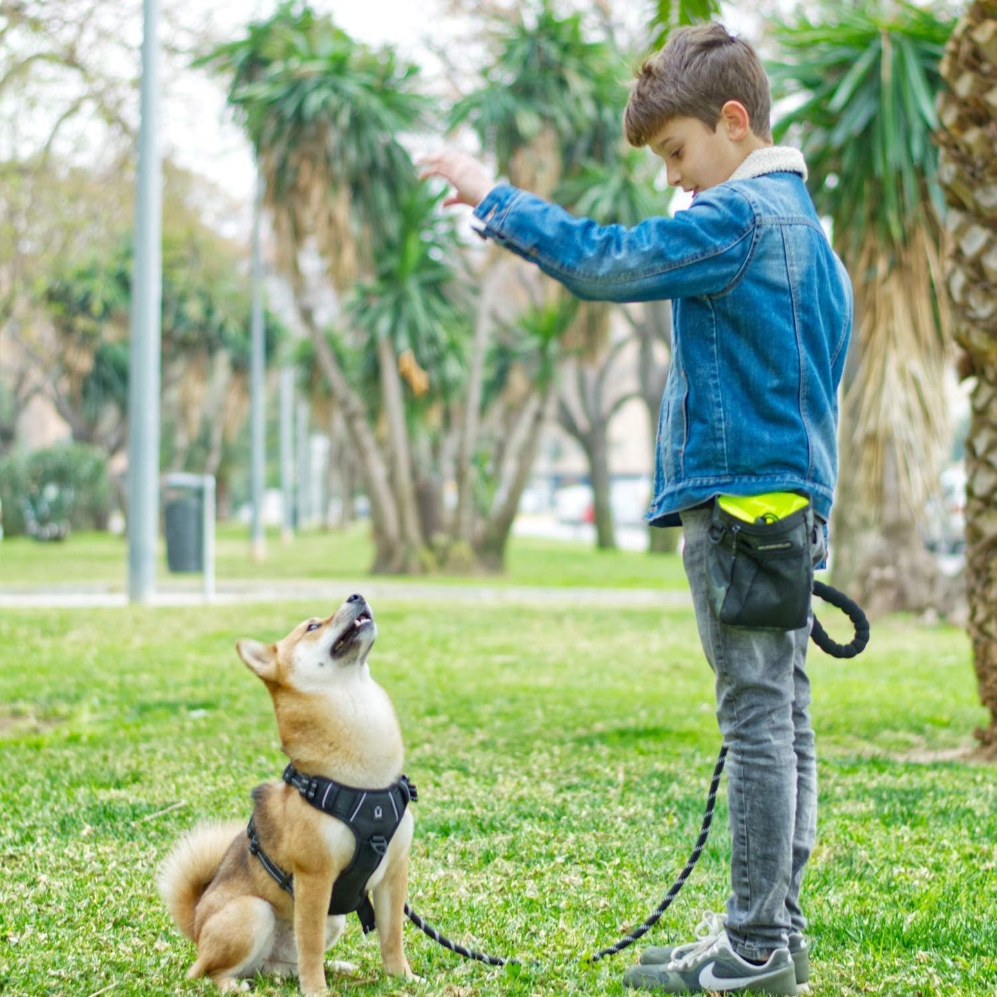 Dog Treat Pouch Waldseemuller Dog Treat Pouch for Training, Dog Training Treat Pouch with Waist Shoulder Strap,Dog Treat Bags Training Pouch 3 Ways to Wear,Dog Treat Pouch for Leash